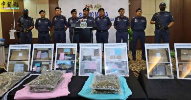 枕头不放棉絮 放百万大麻花 快递运英国被拦截