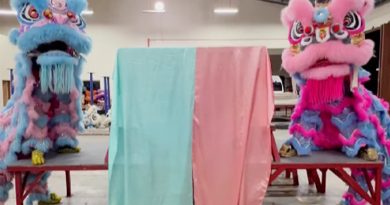 丹兴安醒狮团拓新客源 蓝狮 粉红狮 揭宝宝性别