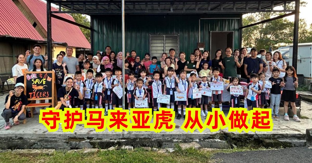 守护马来亚虎 从小做起