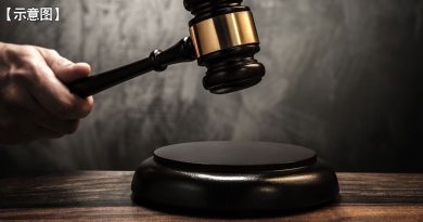 报假案称被鸳鸯匪抢劫 主妇认罪罚1300