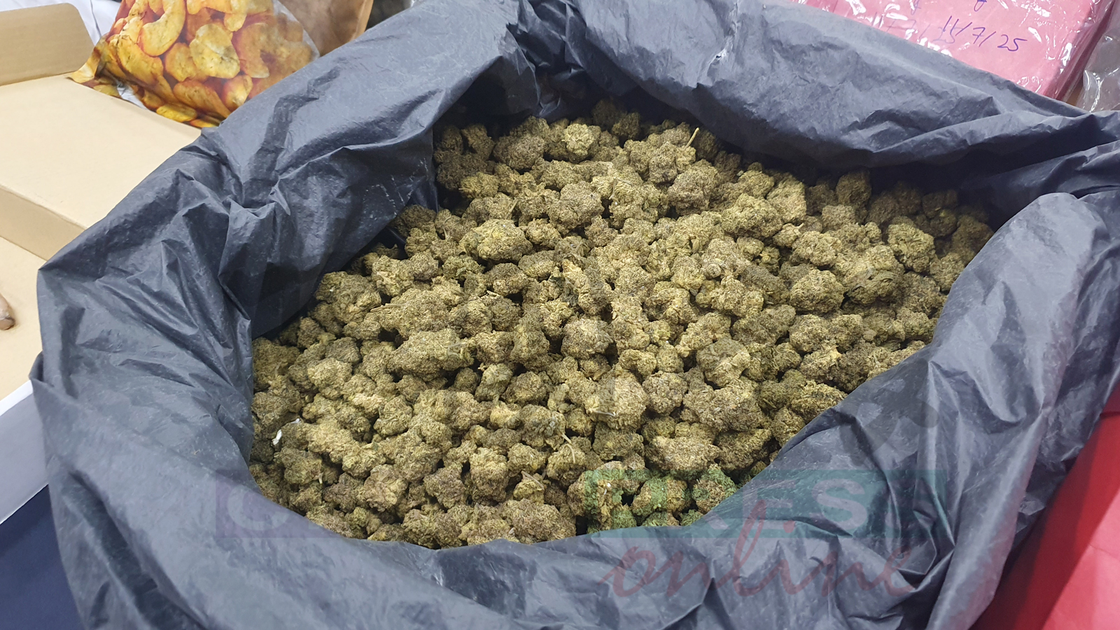 这批干燥植物疑是大麻花，气味浓烈。