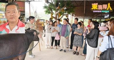 独家丨SST与电子发票双重夹击  旅游业者苦不堪言