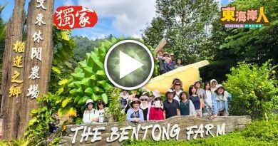 独家丨 中国旅客游山玩水尝榴梿  文冬酷热 人气仍旺
