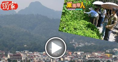 独家丨大热天多喝水 做好防晒  游客 打伞游文冬