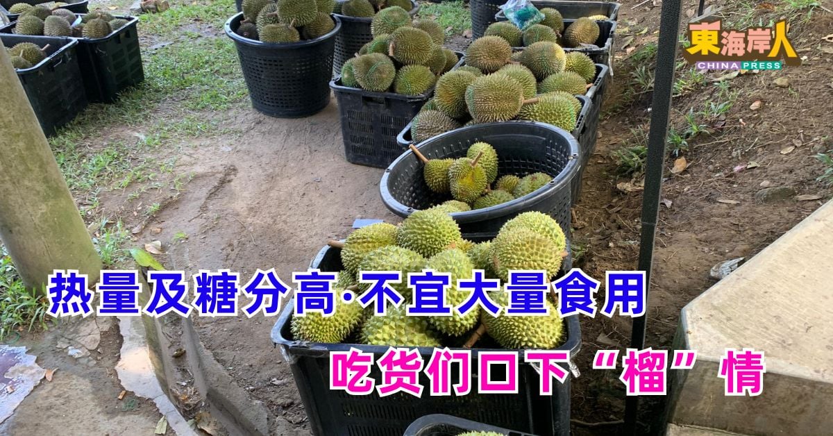 今日东海岸 | 热量及糖分高‧不宜大量食用  吃货们口下“榴”情