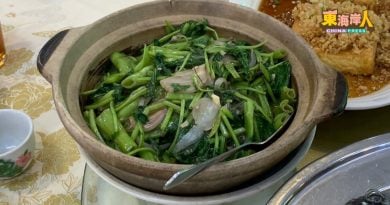 清脆爽口广受游客喜爱  武吉丁宜水蕹菜 一级棒