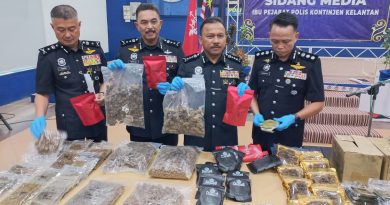 洋楼藏35公斤大麻 父当医生 同住2儿 贩毒吸毒