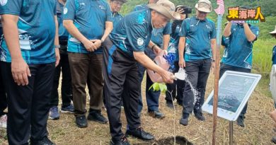 MRL“铁路到根部”计划  保留森林种植3000树苗