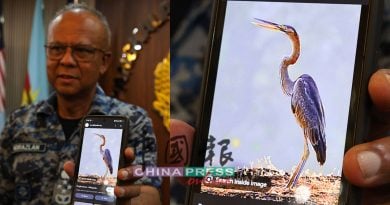 大黄蜂战机坠毁｜空军司令揭晓调查报告 坠机元凶竟是“它”！