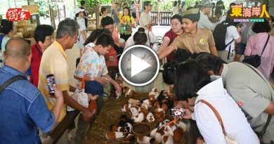 独家丨各地旅客享受生态游   这个假期 文冬好旺