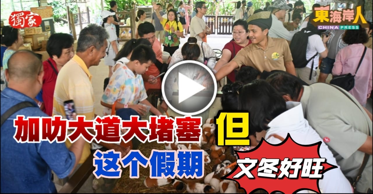 独家丨各地旅客享受生态游   这个假期 文冬好旺