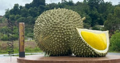 今日东海岸 |劳勿各族和睦安居乐业 简单生活  就是幸福
