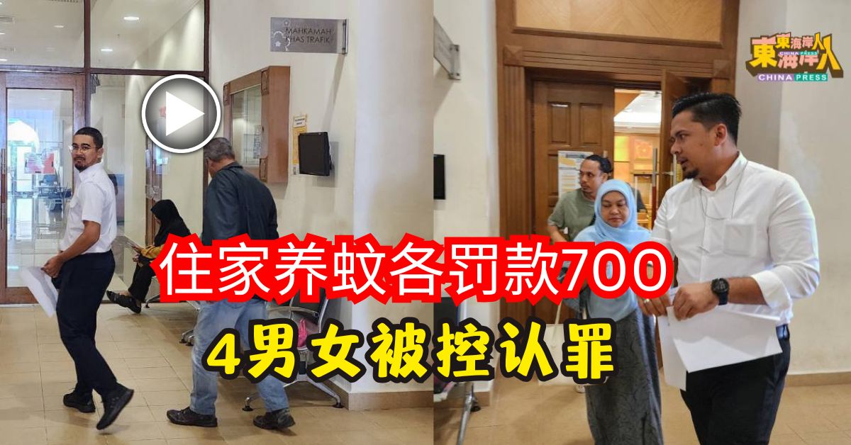 住家养蚊各罚款700    4男女被控认罪