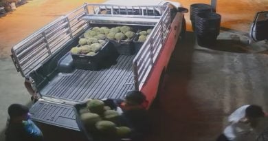 凌晨驾车闯民宅 窃贼搬走6箩黑刺 事主损失逾万