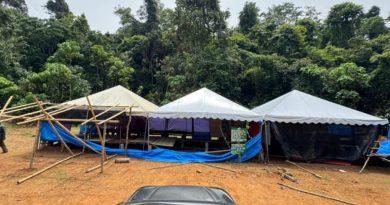 野象2度袭击工棚 工头遭踏身亡