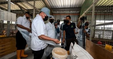 末沙布：落实 2035年自足目标     研发优质高产量椰子