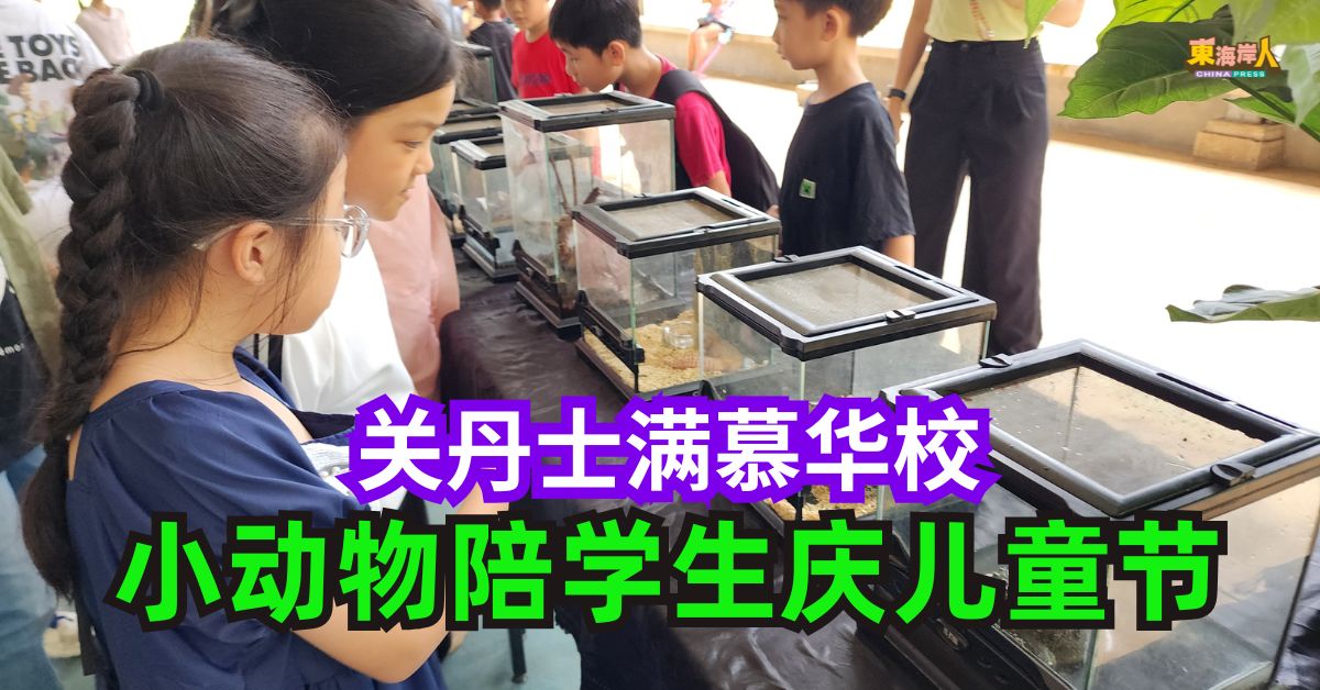 关丹士满慕华校     小动物陪学生庆儿童节