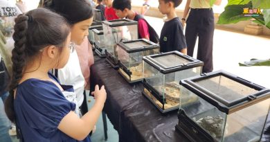 关丹士满慕华校     小动物陪学生庆儿童节