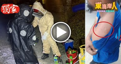 独家丨工人遭虎头蜂袭送院   志消队无惧蜂群夜灭毒巢！