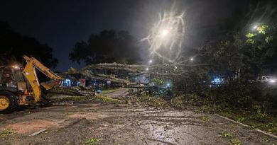 视频 | 狂风暴雨袭关丹       3棵大树倒塌档道